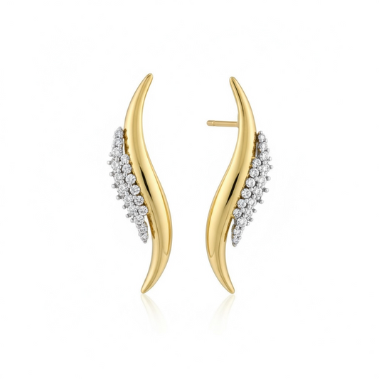Statement earrings