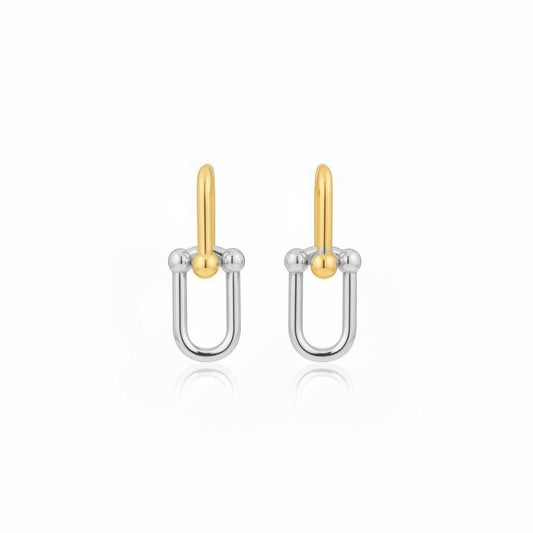 Two-tone Chunky Earrings